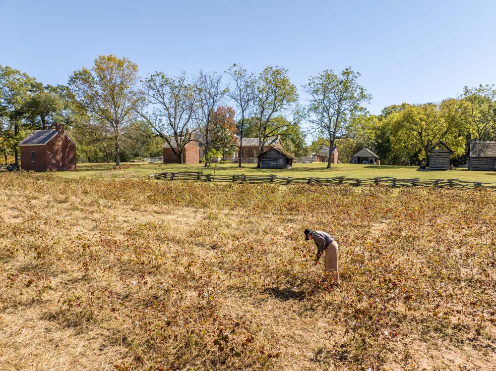 Historic Brattonsville